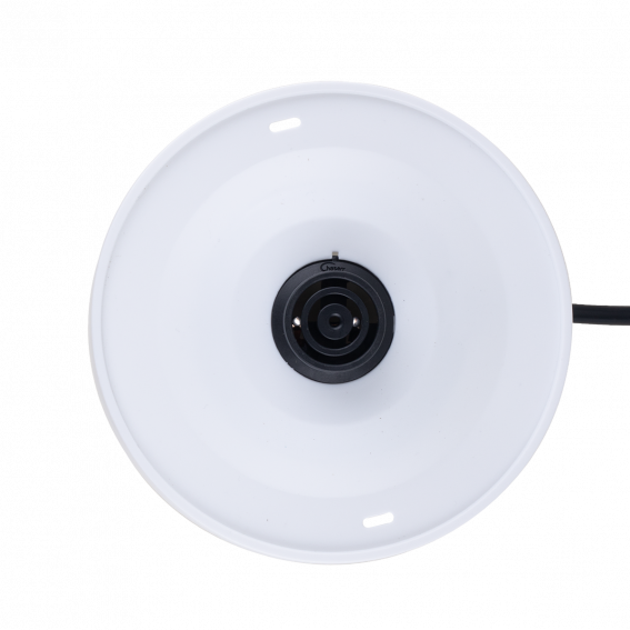 IONA 1.8L Cool Touch Stainless Steel Kettle White