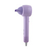 IONA 1400W High Speed Quick ION Hair Dryer Purple