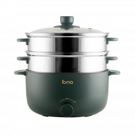 IONA 6L Multi Steamer